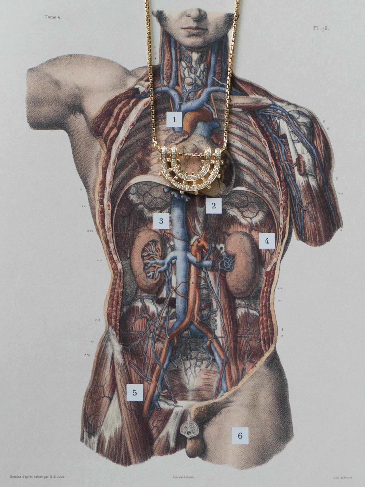 Railroad Pavè Arc Pendant