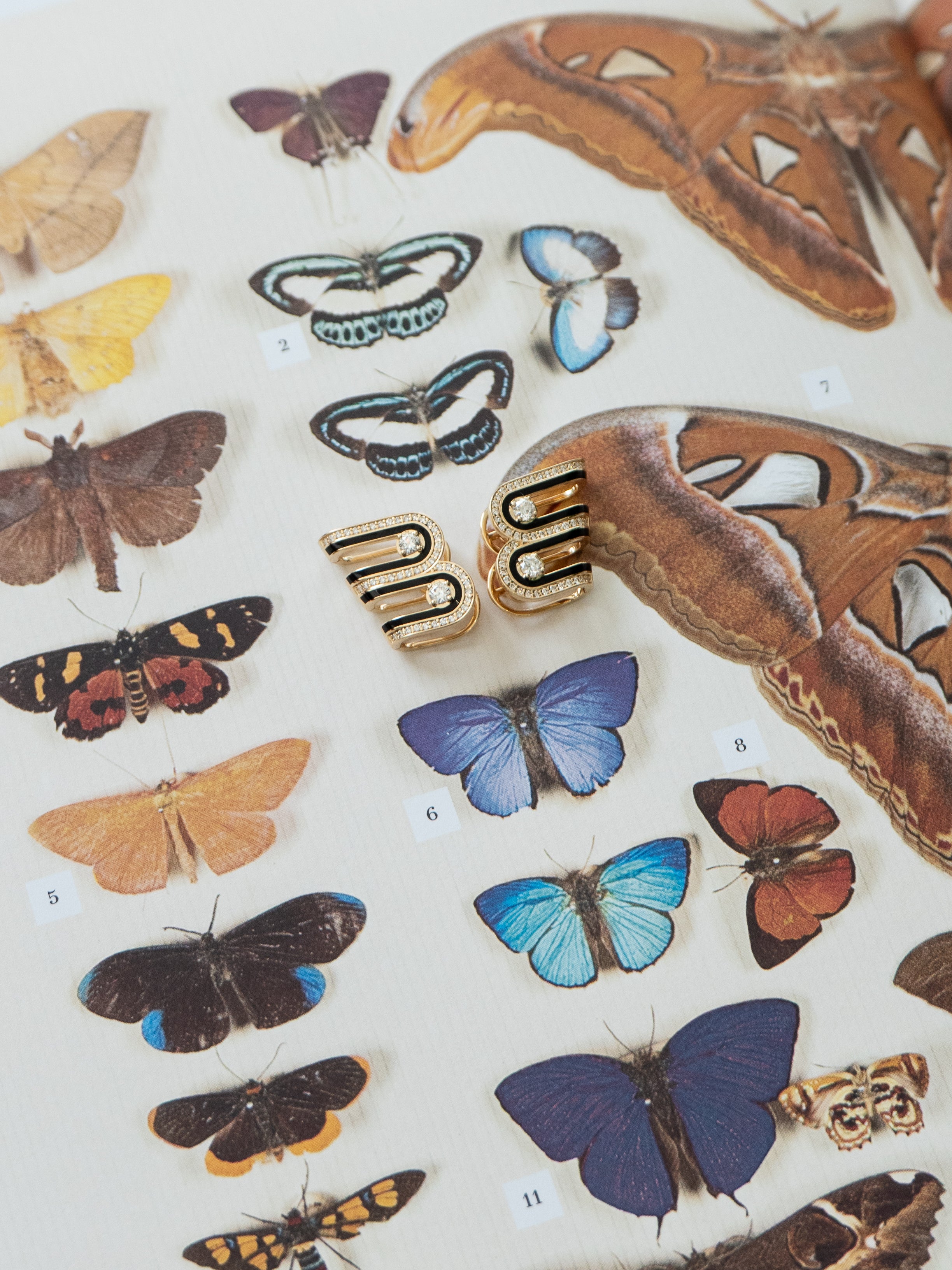 Dias Minor Twin Jet Black Earrings